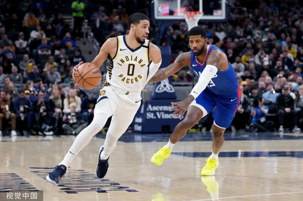 他们需要寻 他们需要寻